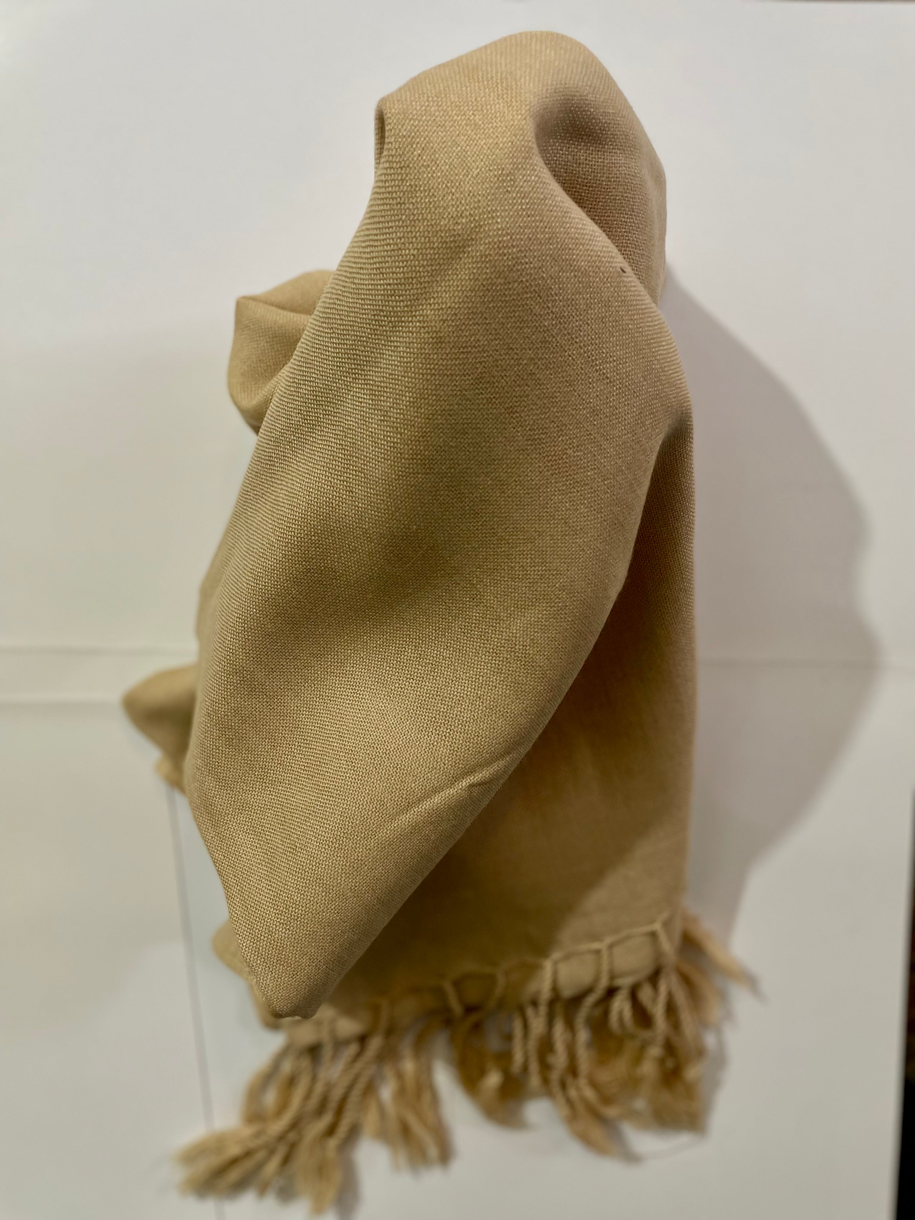 Pashmina Wool Shawl